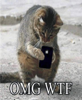 image of cat with an iPhone with text – OMG WTF