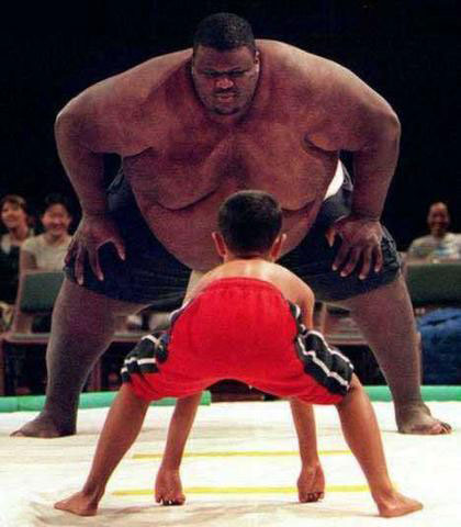 image of large and small sumo wrestlers