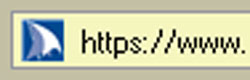 picture of a secured URL