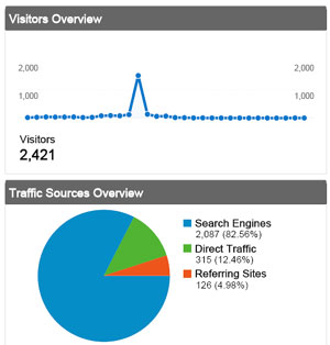 Web analytics data