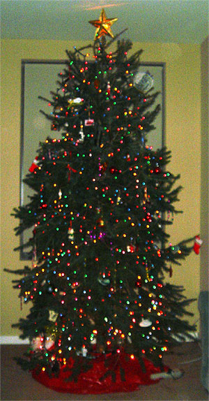 photo for Wordless Wednesday - The Decorated Dunkirk Systems Christmas Tree photo for Wordless Wednesday - The Decorated Dunkirk Systems Christmas Tree