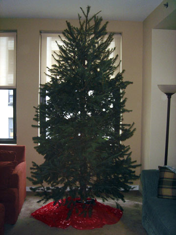 photo for Wordless Wednesday - The Dunkirk Systems Christmas Tree is Ready for Decorating photo for Wordless Wednesday - The Dunkirk Systems Christmas Tree is Ready for Decorating
