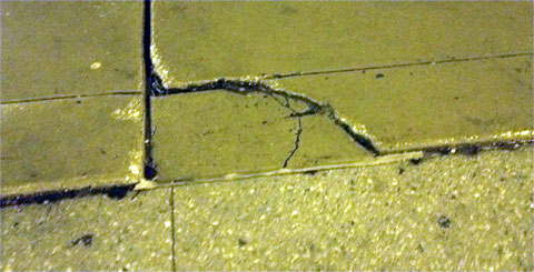 photo of frost heave damage to a Chicago sidewalk