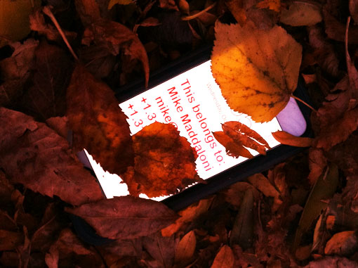 photo of iPhone 6 in leaves