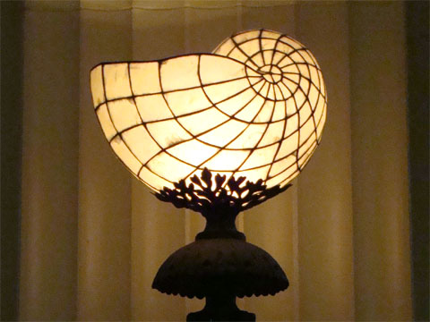 Wordless Wednesday - Light Fixture at the Shedd Aquarium in Chicago