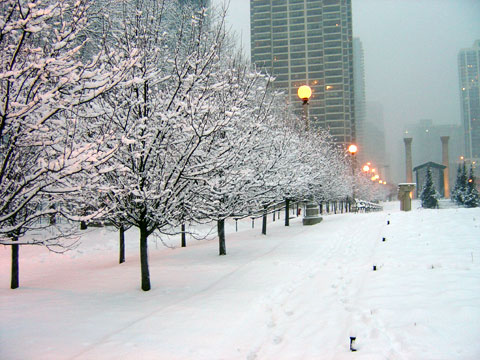 Wordless Wednesday - New Years Snow on Cancer Survivors Park in Chicago