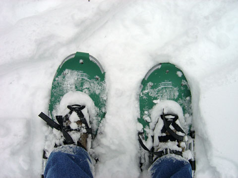Wordless Wednesday - Self-Portrait of Me Snowshoeing Last Weekend