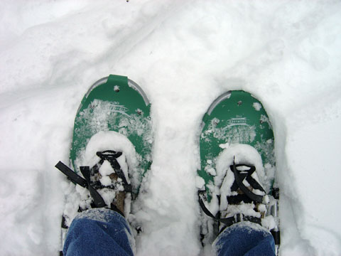 Wordless Wednesday - Self-Portrait of Me Snowshoeing Last Weekend Wordless Wednesday - Self-Portrait of Me Snowshoeing Last Weekend