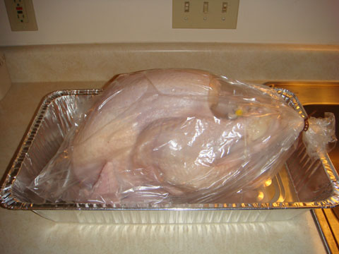 photo of 2009 Thanksgiving turkey