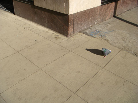 photo of sidewalk at corner of Wabash and Madison, Chicago after construction
