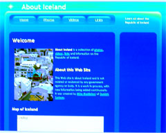 screen shot of AboutIceland.com with Google Ads and Maps blocked