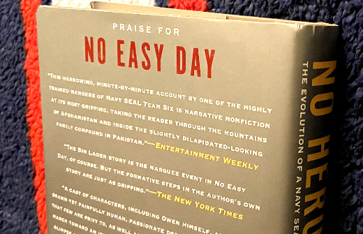 photo of the back cover of No Hero photo of the back cover of No Hero