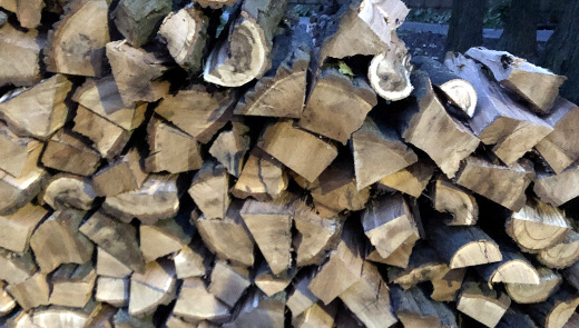 photo of logs