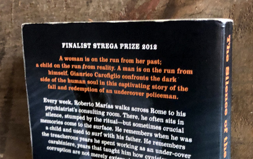 photo of the back cover of The Silence of the Wave photo of the back cover of The Silence of the Wave