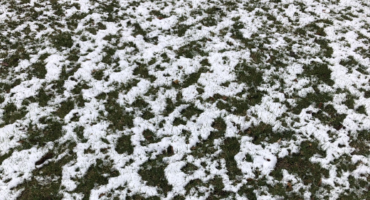 photo of snow on the lawn photo of snow on the lawn