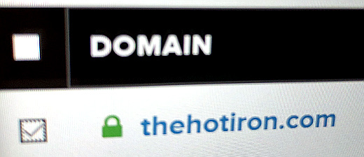 screenshot of domain name renewal