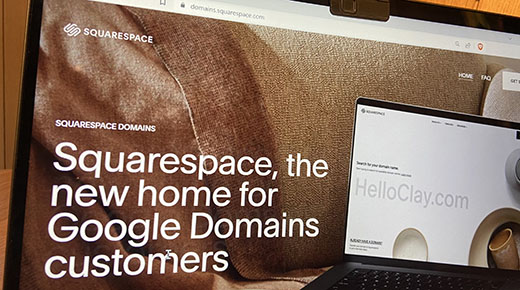 screenshot of Squarespace Domains page